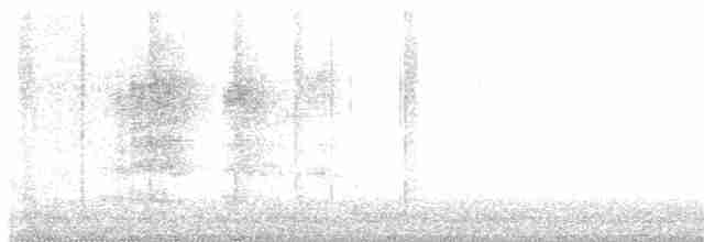 Серогрудый тиранн - ML618129691