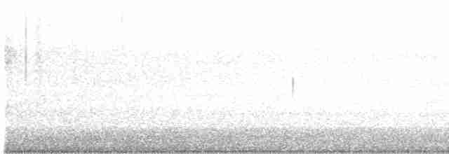 Серогрудый тиранн - ML618129695