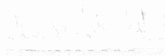 holoubek vlnkovaný - ML618129698