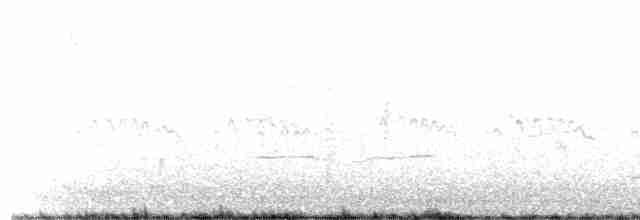 Black-bellied Plover - ML618129708