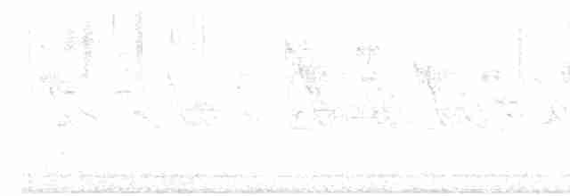 Серый турач - ML618130116