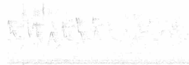 Турач сірий - ML618130199