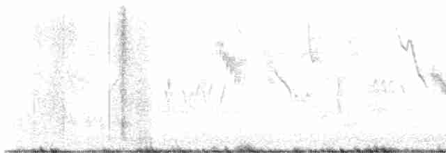 Малая воробьиная овсянка - ML618130365