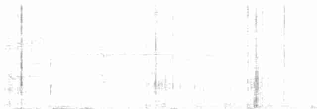 strakapoud kokardový - ML618130500