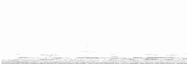 黃嘴天鵝 - ML618130804