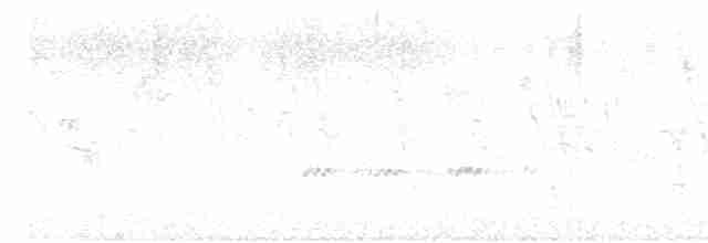 holoubek vlnkovaný - ML618131471