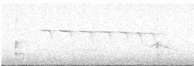 Kayın Baştankarası - ML618131557