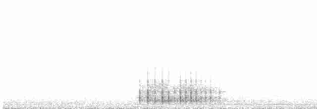 Okil handia (japonicus) - ML618132000