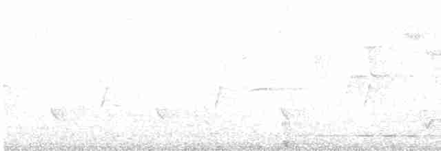 Светлоголовая пеночка - ML618132008