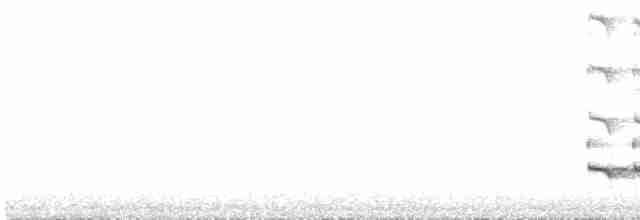 žluna šedá (ssp. canus/jessoensis) - ML618132144