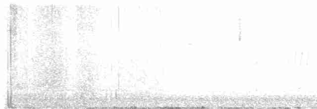 Olivflanken-Schnäppertyrann - ML618132203
