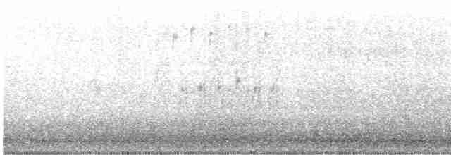 Troglodyte des marais - ML618132558