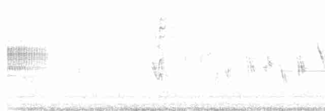Тауї плямистий - ML618134146