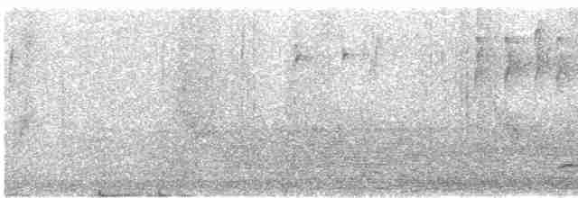Chevêchette brune - ML618134150