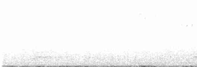 Трясогузковый певун - ML618134967