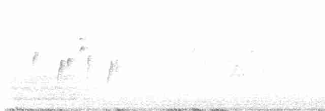 European Goldfinch - ML618135220