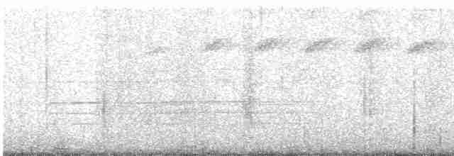 Toucan à capuchon - ML618135236