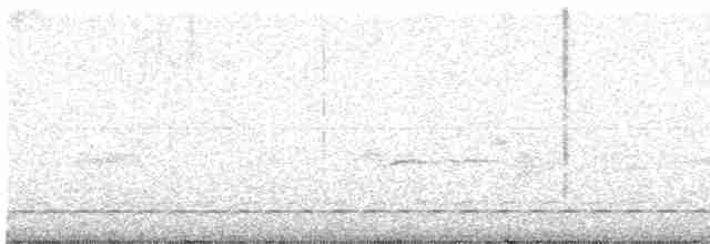 Bindenbrust-Ameisendrossel - ML618135243