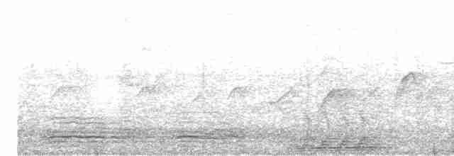 volavka stříbřitá (ssp. garzetta) - ML618136271