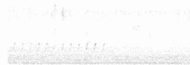 Сивка бурокрила - ML618136360