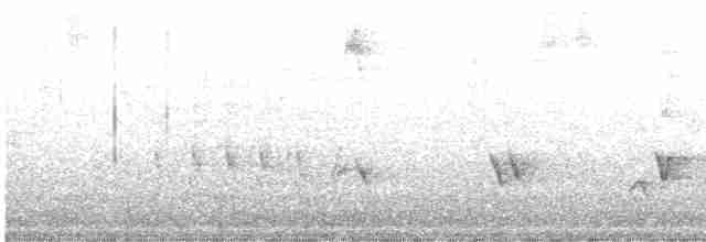 Black-headed Grosbeak - ML618136686