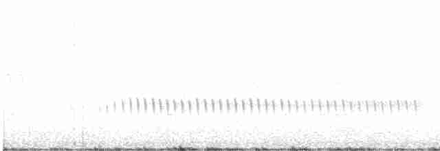Chaparralgrasmücke - ML618137139