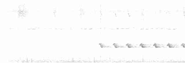 Sinsonte Norteño - ML618137294