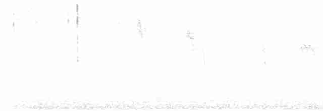 斑文鳥 - ML618137361