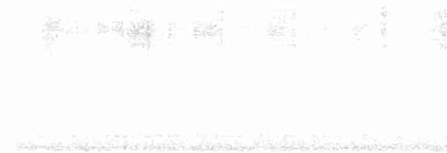 holoubek vlnkovaný - ML618137475