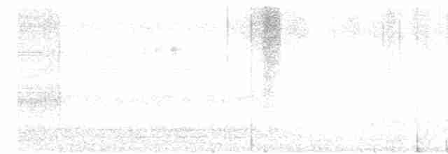 holoubek vlnkovaný - ML618137501