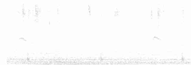斑文鳥 - ML618137796
