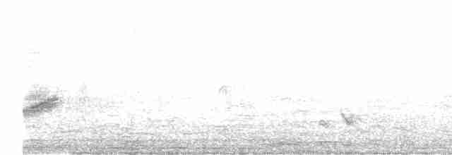 Weißbrauenstelze - ML618138251