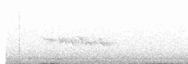 Синьохвіст тайговий - ML618138494