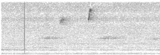 Taçlı Ötleğen (coronata) - ML618138515