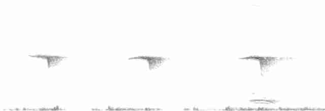 Collared Flycatcher - ML618139597