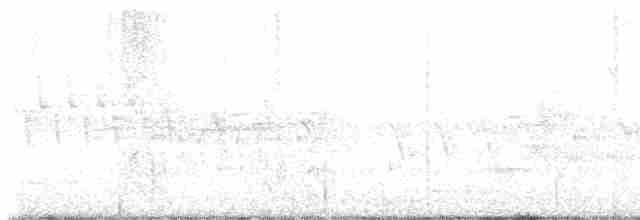 Желтобрюхий дятел-сокоед - ML618140376