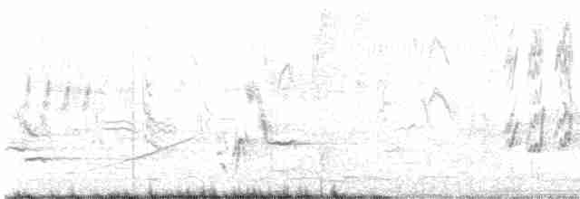 Тремблер прямодзьобий - ML618140388