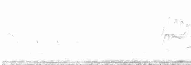 Чернокрылая пиранга - ML618140673