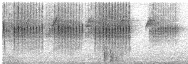 Сейшельская нектарница - ML618141113