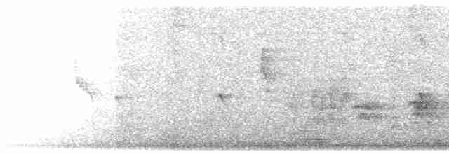 Anteojitos de Swinhoe - ML618142492