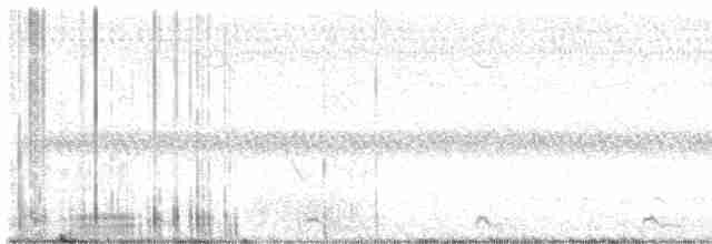 Common Gallinule - ML618142799