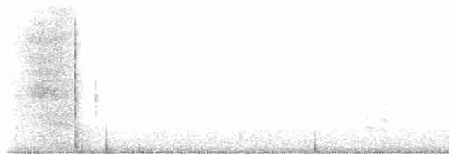 Weißbrustkleiber - ML618143449