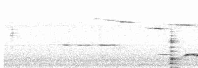 Büyük Atmaca Guguğu - ML618144153