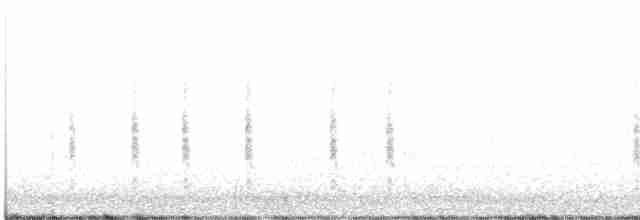 Grass Wren (Austral) - ML618144365