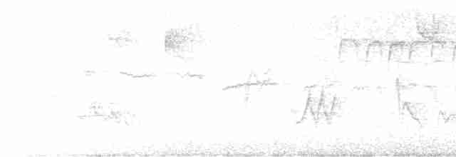 Cerulean Warbler - ML618144415