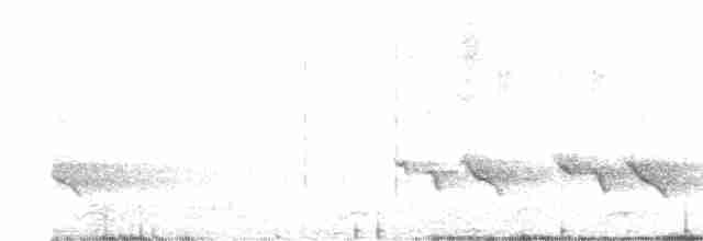 White-browed Shrike-Babbler - ML618145341