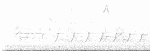 Гаїчка каролінська - ML618145911