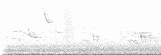 Каролинский крапивник - ML618145960