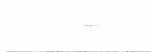 lejsek bělokrký - ML618146150