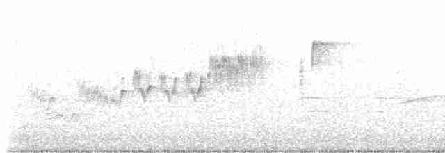 Cerulean Warbler - ML618146279